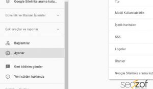 Search console adres değişikliği